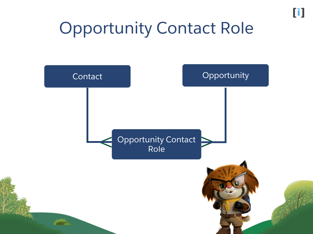 Opportunity Contact Roles