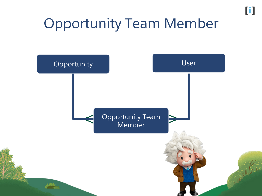 Opportunity Team Member