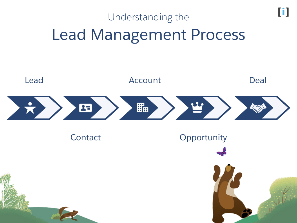 Understanding the Lead Management Process in Salesforce