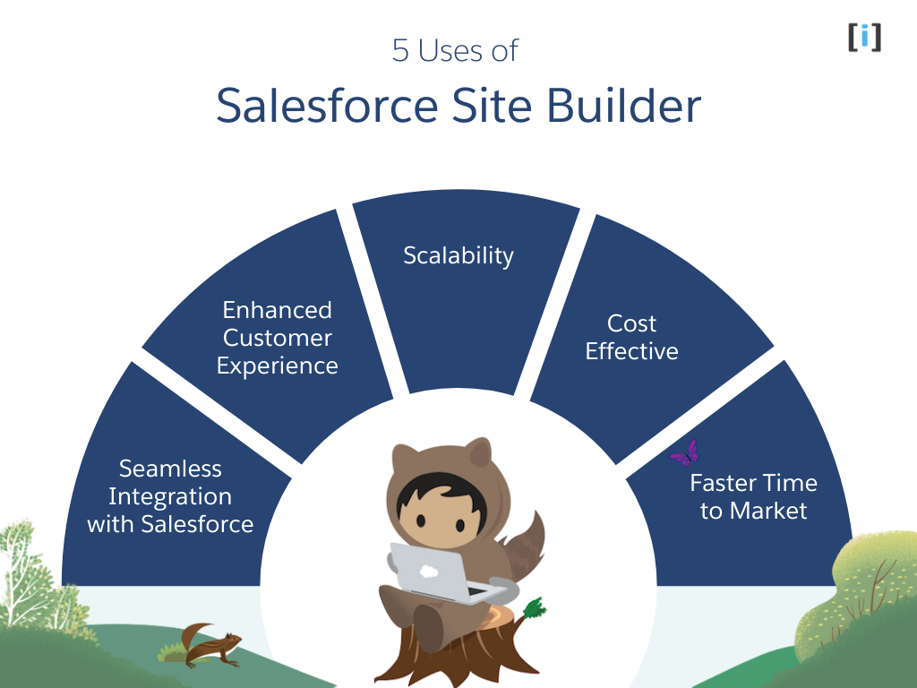 5 Uses of  Salesforce Site Builder