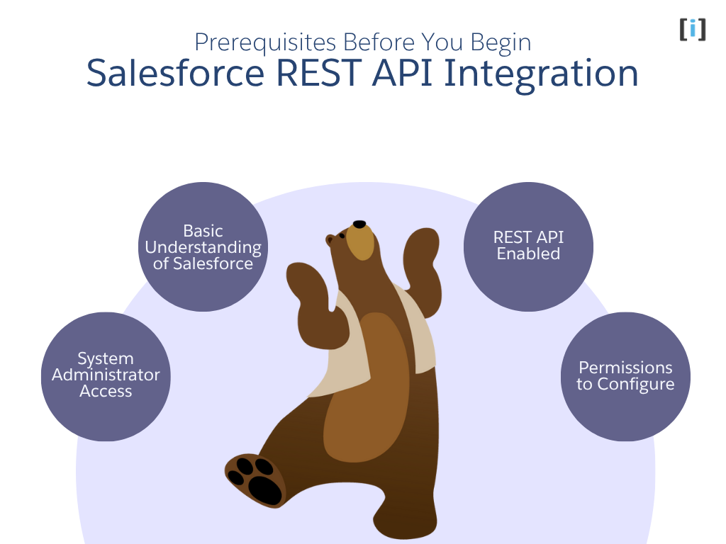 Prerequisites Before You Begin : Salesforce REST API Endpoints Integration
