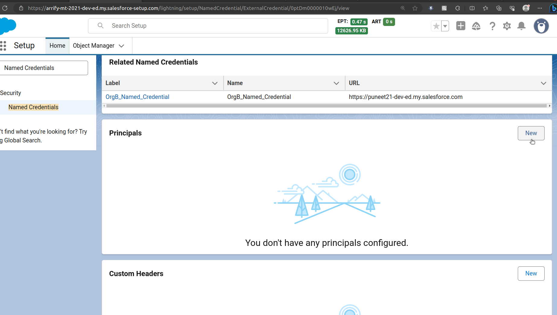 external credential pricipale