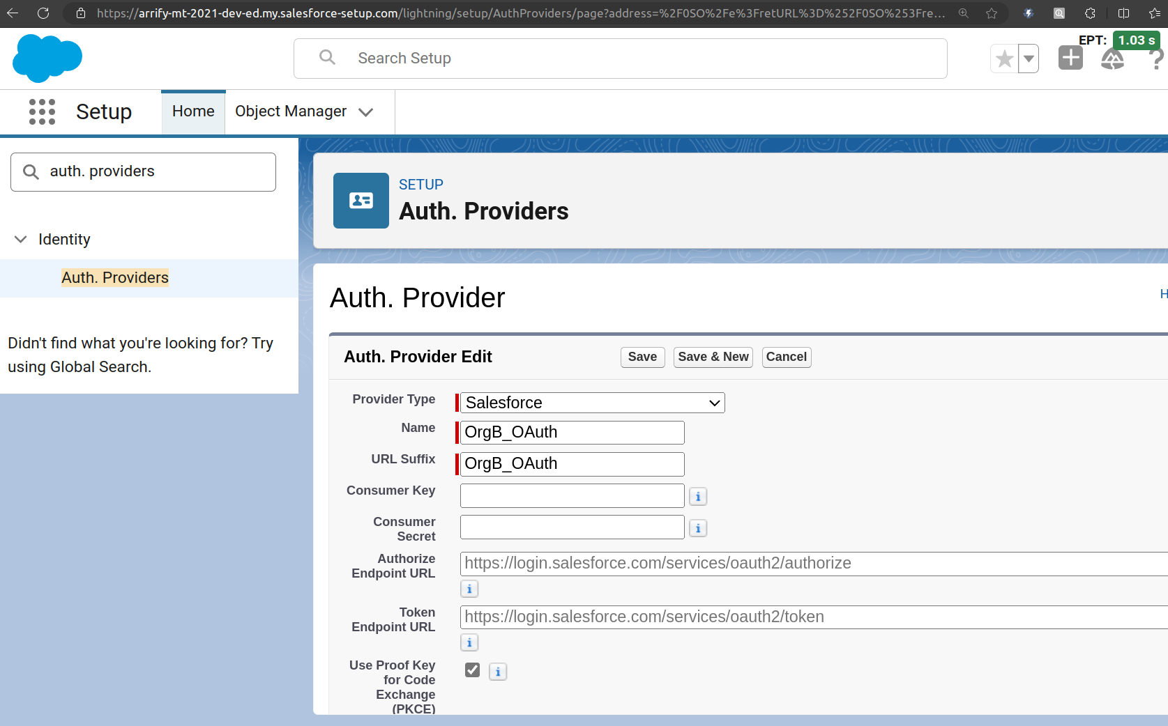 fill auth provider details