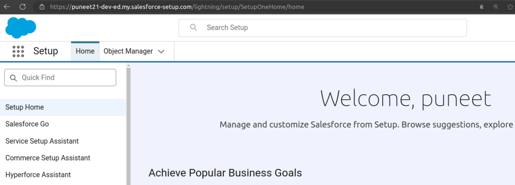 Org B (target / Service): puneet21